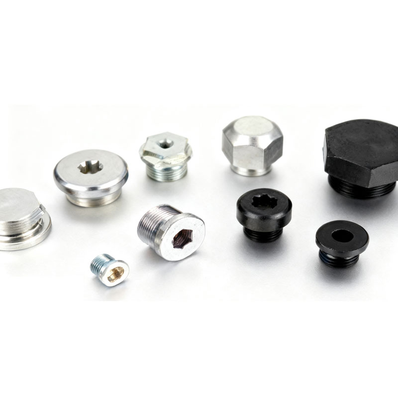 স্টেইনলেস স্টীল ফ্ল্যাঞ্জ প্লাগ